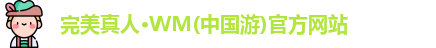 WM完美真人